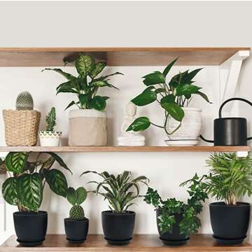 HOMENOTE Decorative Drainage Pot for Succulents