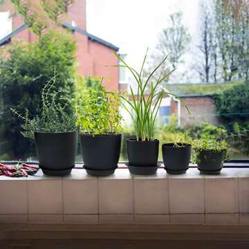 HOMENOTE Decorative Drainage Pot for Succulents