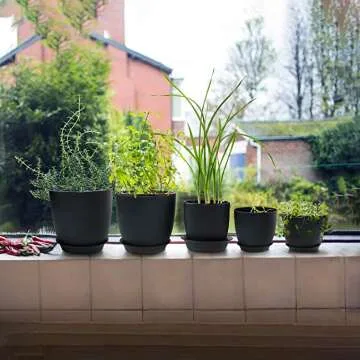 HOMENOTE Decorative Drainage Pot for Succulents