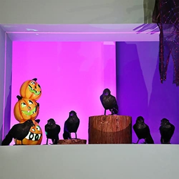 ATDAWN 12 Pack Realistic Halloween Black Feathered Crows