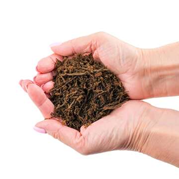 Premium New Zealand Tree Fern by GARDENERA - Orchid and Epiphytal Plants Growing Medium and Reptile Substrate - 2 Quart Bag