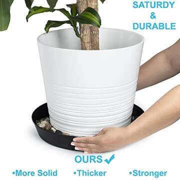 Austin Flower Pots with Saucers, 9" Black - Set of 5