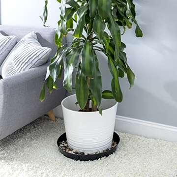 Austin Flower Pots with Saucers, 9" Black - Set of 5