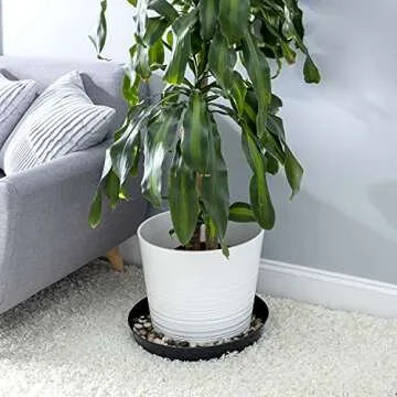 Austin Flower Pots with Saucers, 9" Black - Set of 5