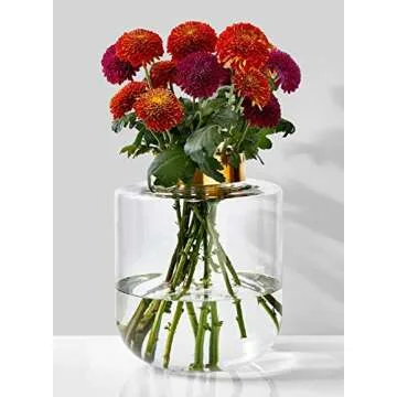 Serene Spaces Living Medium Ball Vase with Gold Rim, Elegant Flower Vase for Wedding Reception, Mini...
