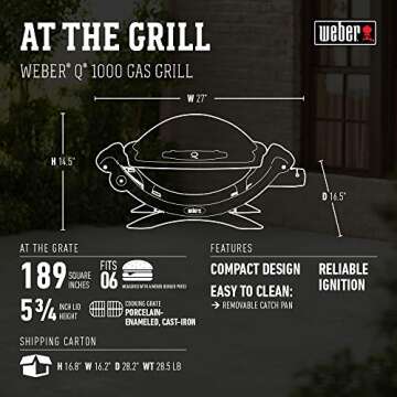Weber Q1000 Gas Grill, Titanium with Cover