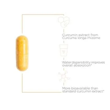 Integrative Therapeutics Theracurmin HP - High Absorption Turmeric & Curcumin Supplement - 27x More Bioavailable - Relief of Minor Discomfort Due to Occasional Overuse* - Vegan - 60 Capsules