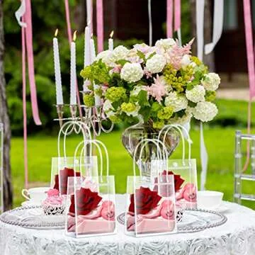 Saintrygo Clear Plastic Gift Bags - 80Pcs for Party Favors