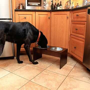 PetFusion Bamboo Elevated Dog Bowls; Cat Bowl | Raised Feeders w/Water Resistant Seal (Short 4"; Tall 10”) | US Food Grade Stainless Steel Dog & Cat Bowls