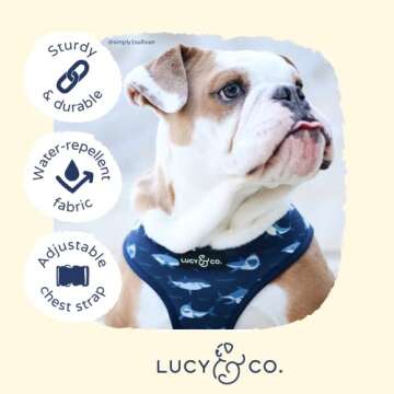 Reversible Designer Dog Harness for All Breeds and Sizes