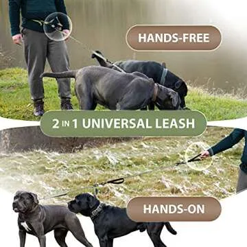 SparklyPets Hands Free Double Dog Leash for Large Breeds