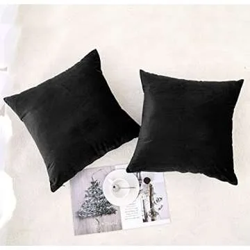 NiNi ALL Decorative Throw Pillow Covers Pack of 2 Velvet Throw Pillow Cases for Couch Pillows Cover Bedroom Living Room Outdoor, Pillow Covers 20x20 Inch Black