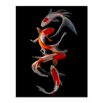 Crystal Canvas Prints Koi Fish Photography Prints - Set of 4 (11x14) Inches Glossy Monochromatic Black Orange White Animal Minimalist Wall Art Decor - Japan Carp Water Pond Wildlife Animal Aquatic