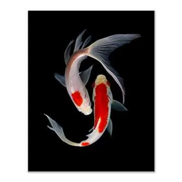 Crystal Canvas Prints Koi Fish Photography Prints - Set of 4 (11x14) Inches Glossy Monochromatic Black Orange White Animal Minimalist Wall Art Decor - Japan Carp Water Pond Wildlife Animal Aquatic