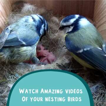 Solar Powered Birdhouse with Camera - 1296p HD WiFi Bird Box by NESTERA