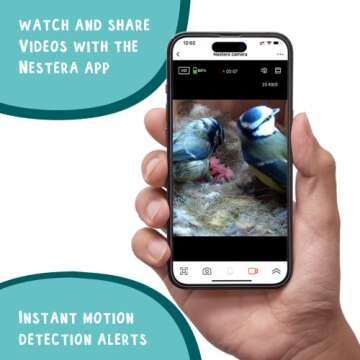 Solar Powered Birdhouse with HD Camera for Birdwatching