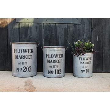 Creative Co-Op Set of 3 Flower Market Buckets for Decor