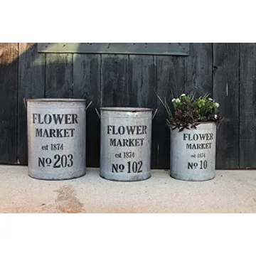 Creative Co-Op Set of 3 Flower Market Buckets for Decor