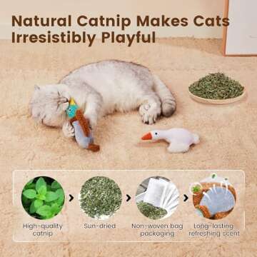 Potaroma Birds Cat Toys, 2 Pack Catnip Toys Soft Durable, Crinkle Sound Kicker Toys for Interactive Indoor Kitten Exercise 6.5 Inches for All Breeds