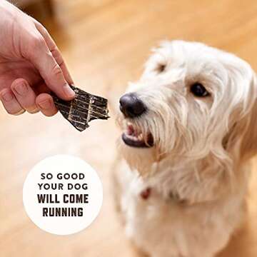 Rocco & Roxie Natural Beef Liver Treats – Healthy Grain-Free Dog Treats Made in The USA – Crunchy and Delicious Snacks for Medium and Large Dogs - Single Ingredient Training Treats for Dogs