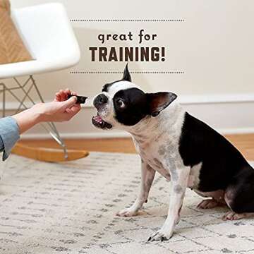 Rocco & Roxie Natural Beef Liver Treats – Healthy Grain-Free Dog Treats Made in The USA – Crunchy and Delicious Snacks for Medium and Large Dogs - Single Ingredient Training Treats for Dogs