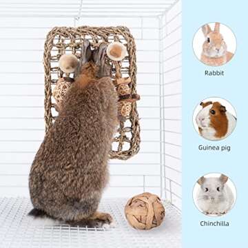 andwe Seagrass Protector Mat with Toys for Rabbit Bunny Chinchilla Guinea Pigs or Other Rodent Pets ...