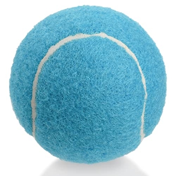 Tebery 20 Pack Training Tennis Balls for Pets & Practice