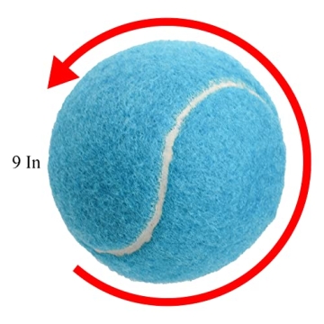 Tebery 20 Pack Training Tennis Balls for Pets & Practice