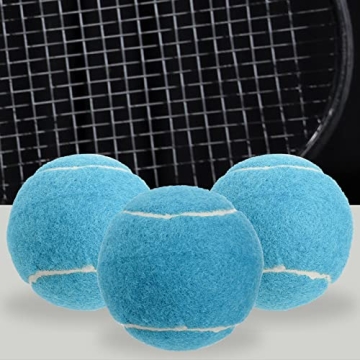 Tebery 20 Pack Training Tennis Balls for Pets & Practice