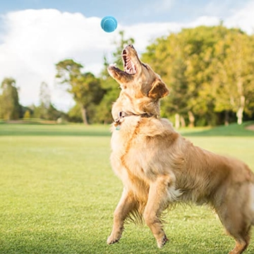 Tebery 20 Pack Training Tennis Balls for Pets & Practice