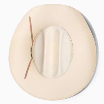 RESISTOL Men's Wildfire Hat