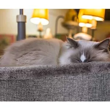 Heart Cat Pet Bed for Cozy and Comfortable Pet Naps