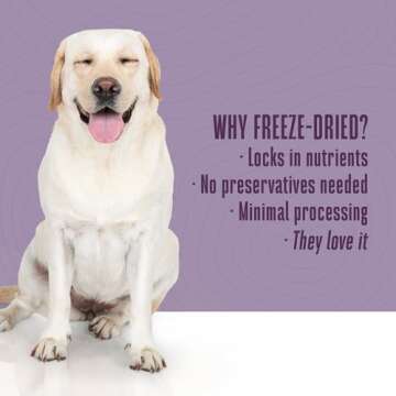 Whole Life Dog Treats: Probiotics for Canine Digestive Health