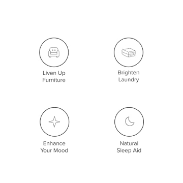 DRMTLGY Natural Green Tea Linen Spray for Relaxation