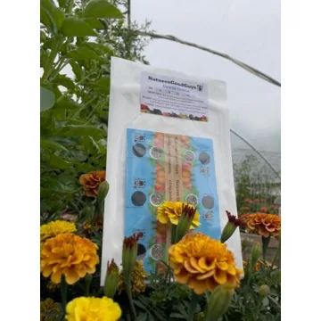 1,000 Encarsia Formosa Eggs Natural Pest Control