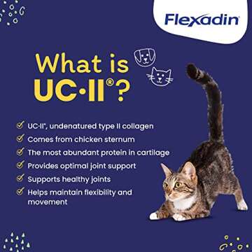 Vetoquinol Flexadin Joint Support Chews for Pets