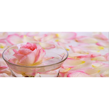 Cocojojo Rose Hydrosol Hydrating Mist for Radiant Skin