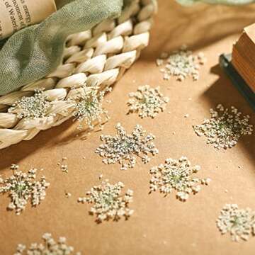 200 Pcs Pressed Dried Flowers for Resin Art Ammi Majus Natural Pressed Dried Flower Dry Flowers for ...