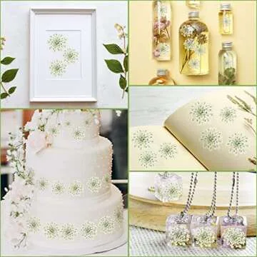 200 Pcs Pressed Dried Flowers for Resin Art Ammi Majus Natural Pressed Dried Flower Dry Flowers for Crafts DIY Wedding Home Decor Scrapbooking Gift Soap Candle Making