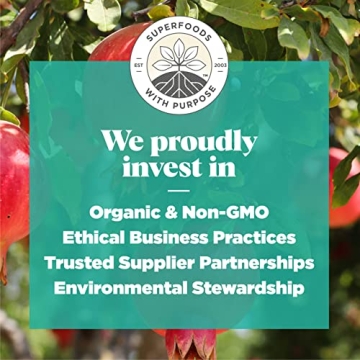 Buy Navitas Organics Pomegranate Powder – Antioxidant Rich