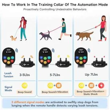 2-in-1 Dog Training Collar Set with Remote - 3300FT Range