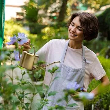 KIBAGA Decorative Gold Watering Can for Easy Plant Care