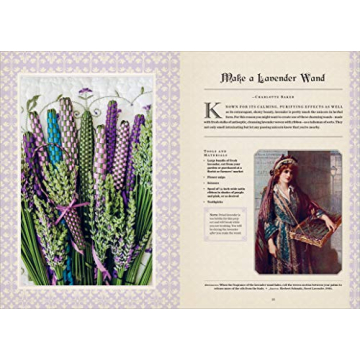 The Unicorn Handbook Magical Art and Lore Collection