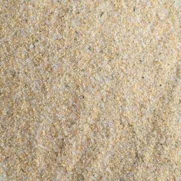 Frontier Salt Garlic - Pure Flavor for Healthier Cooking