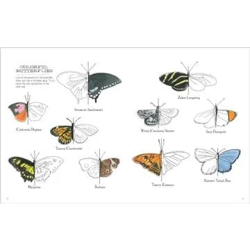 Julia Rothman's Nature Anatomy Activity Book: Match-Ups, Word Puzzles, Quizzes, Mazes, Projects, Secret Codes + Lots More