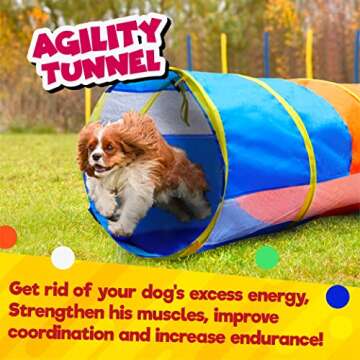 Hide N Side Crawl Through Tunnel - Fun for Kids & Dogs