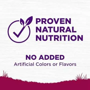 Wellness Complete Health Small Breed Dry Dog Food with Grains, Natural Ingredients, Made in USA with Real Turkey, For Dogs Up to 25 lbs. (Puppy, Turkey, Salmon & Oatmeal, 4-Pound Bag)