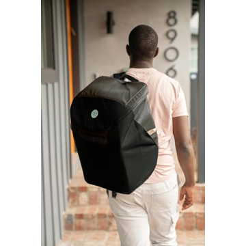 WAYB Pico Travel Car Seat Lightweight Portable FAA Approved