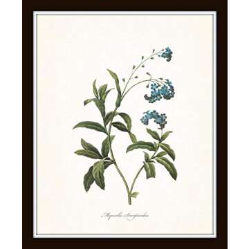 Redoute Blue Botanical Print Set for Vintage Wall Decor