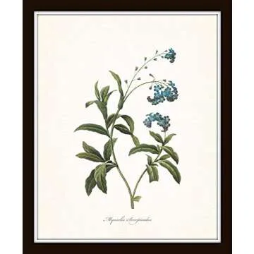 Redoute Blue Botanical Print Set for Vintage Wall Decor
